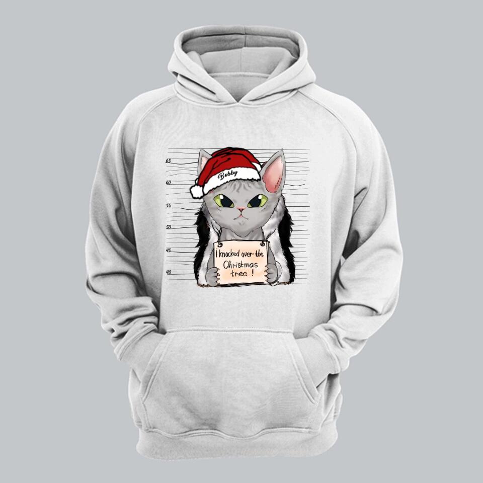 Personalized I Knocked Over The Christmas Tree  Cat Lovers Tshirt Hoodie Or Sweatshirt Printed QTDT2511