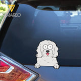 Personalized Dog Lovers Gift Decal Printed MTKVH23158