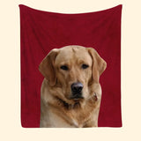 Personalized Upload Your Pet Photo Dog Lovers Cat Lovers Gift Sherpa or Fleece Blanket Printed HN231529