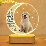 Personalized If Love Could Have Kept You Here You Would Have Lived Forever Golden Retriever Led Lamp Printed PNHY1001