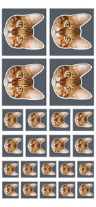 Personalized Upload Your Cat Photo Sticker Printed PNHQ1703