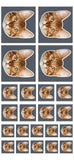 Personalized Upload Your Cat Photo Sticker Printed PNHQ1703