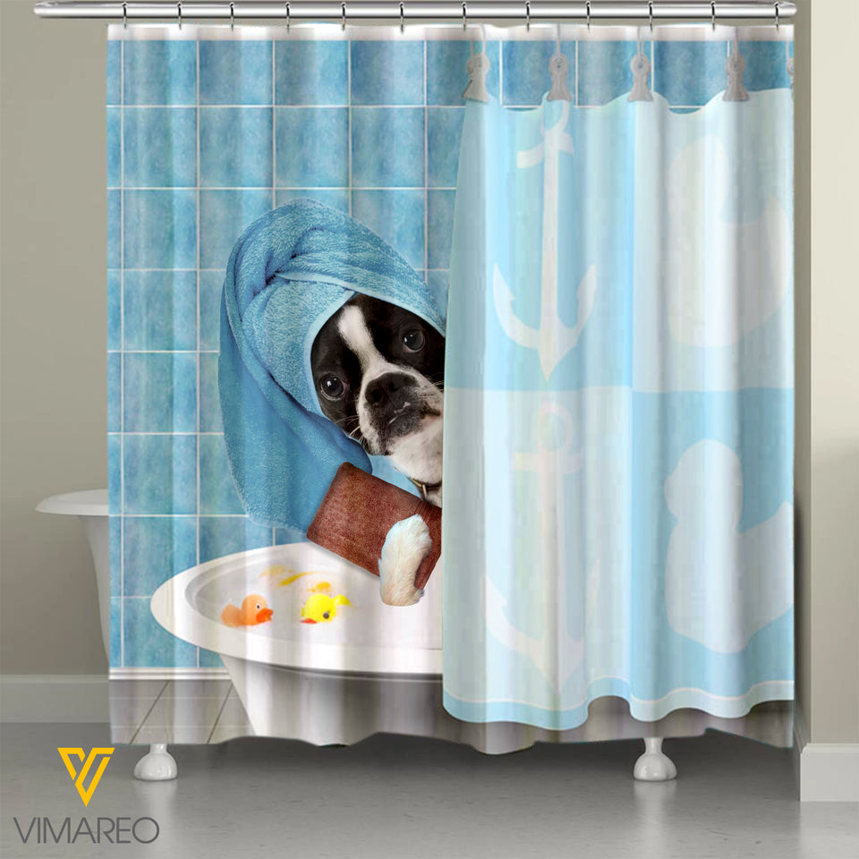 Boston Terrier Dog SEMA