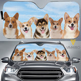 Corgi Dog CMEU