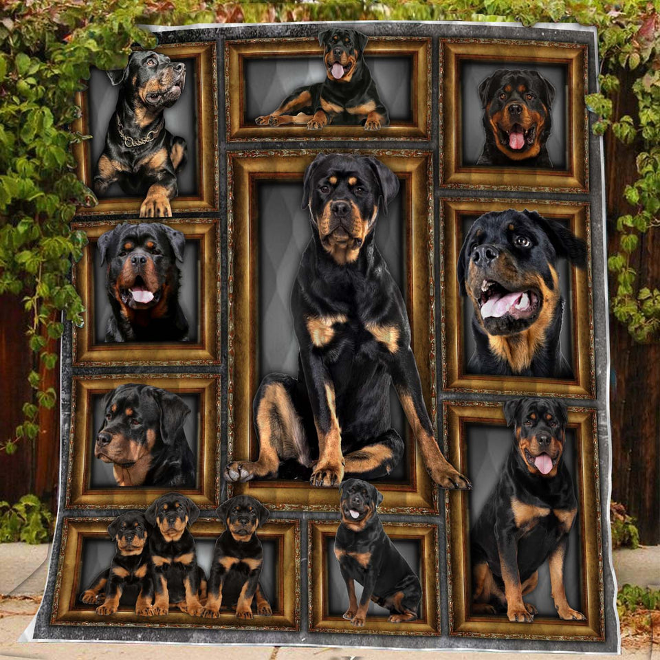 Rottweiler Dog BM1D